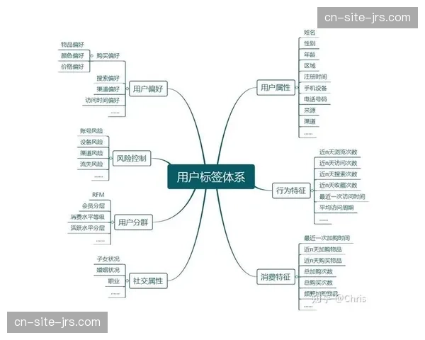 用户画像标签体系日益精细化 支撑精细化运营策略落地